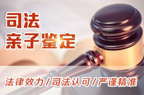 济宁司法亲子鉴定哪里办理,济宁司法DNA亲子鉴定资料和流程