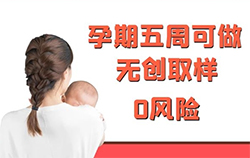 济宁怀孕几个月如何办理孕期亲子鉴定，在济宁做无创产前亲子鉴定费用