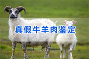 济宁羊类动物鉴定